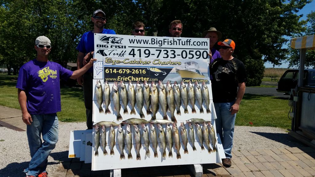 Great board of fish today!