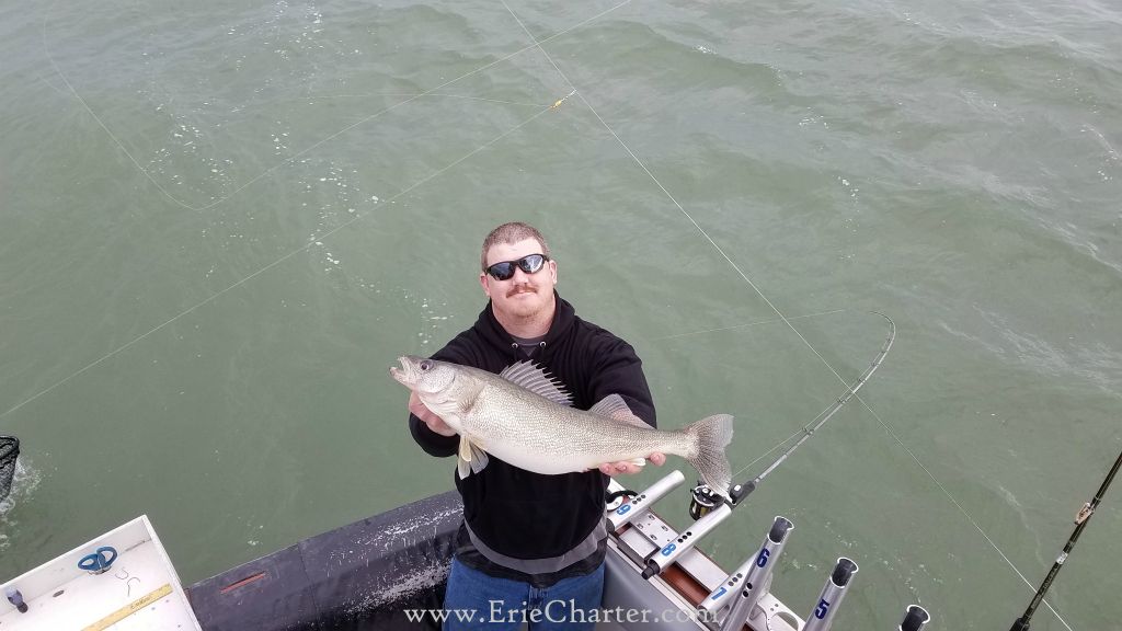Lake Erie Fishing Charters - Nice fish!