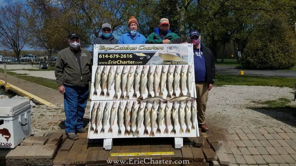 Lake Erie Fishing Charters - day three with this group, limit again!