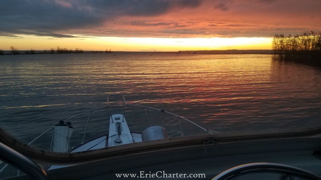 Lake Erie Fishing Charters - morning view is the best!