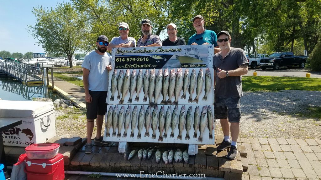 Lake Erie Fishing Charters - June 5 - FAST FISHING!!!