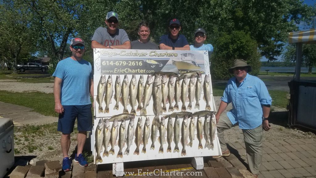 Lake Erie Fishing Charters - June 11 - Nailed 'em again!