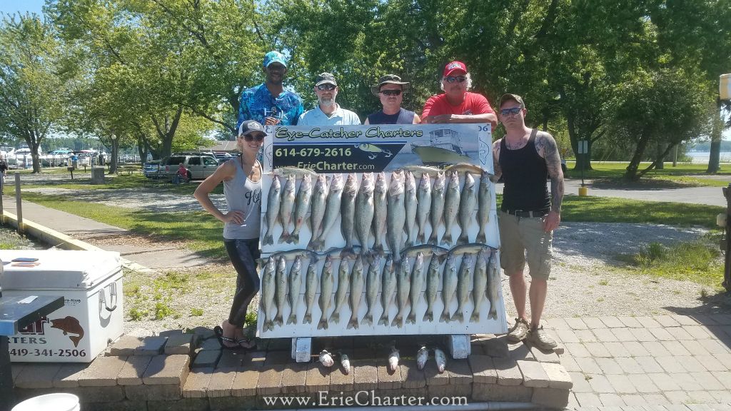 Lake Erie Fishing Charters - June 19 walleye beating!!!