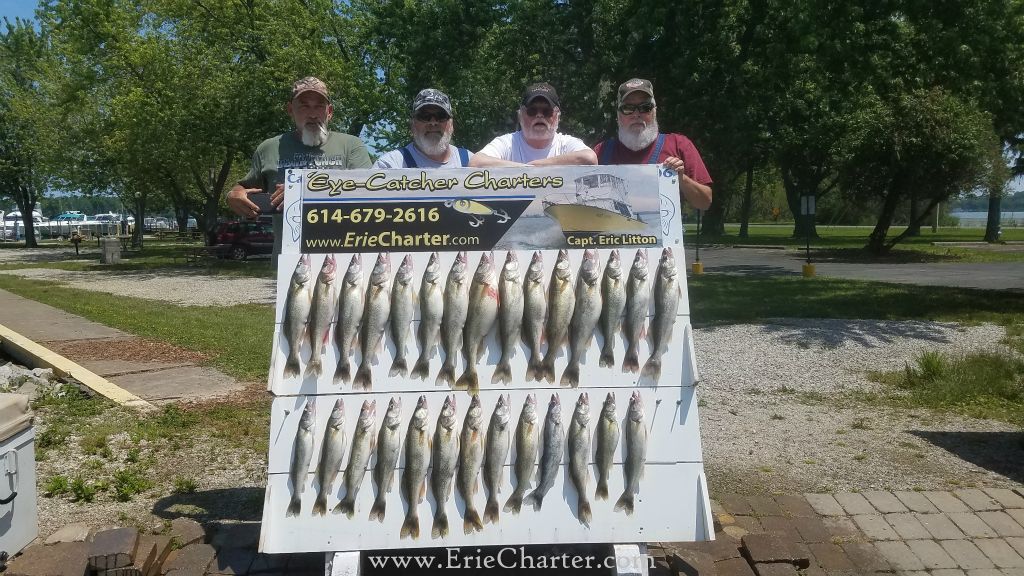 Lake Erie Fishing Charters - June 22 - Limit!