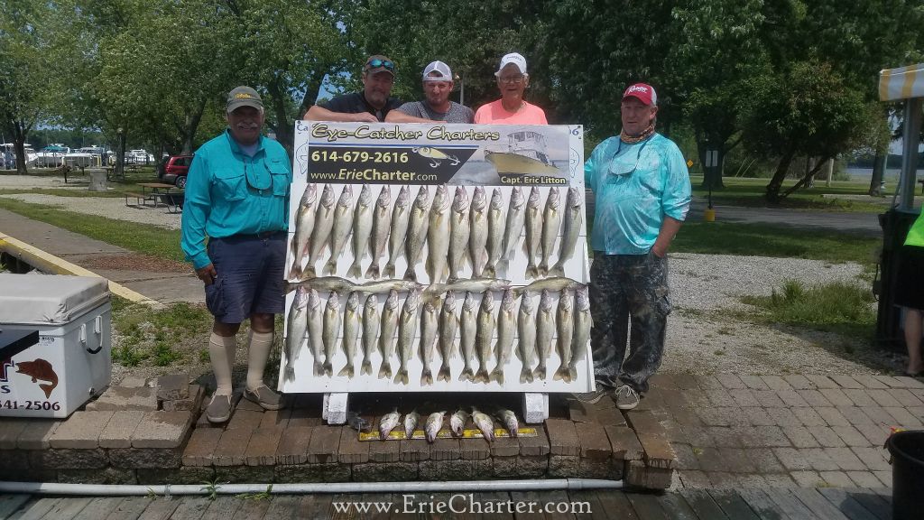 Lake Erie Fishing Charters - June 25 - the walleye didn't stand a chance!
