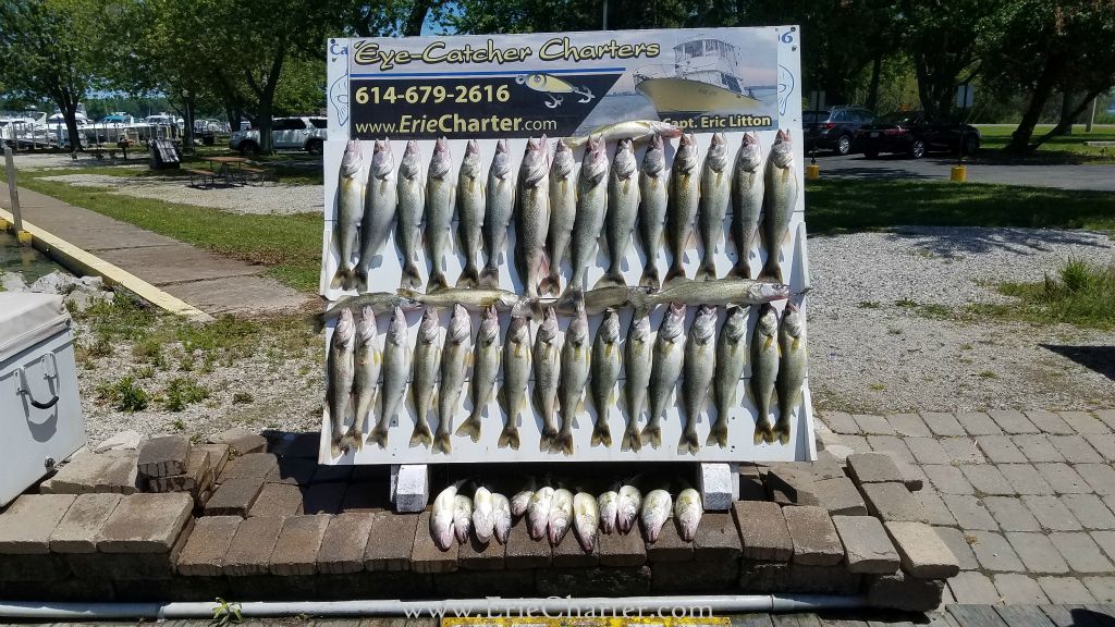 Lake Erie Fishing Charters - June 29 - minus the crew....