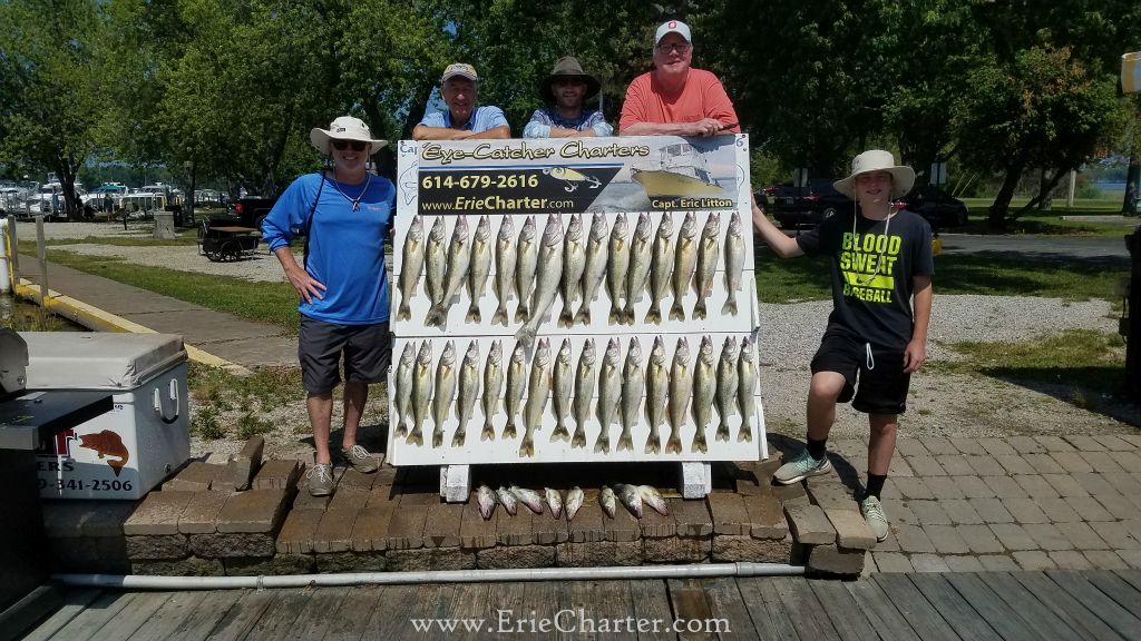 Lake Erie Walleye Charter - July 3 - The Walleye Suicide Continues!