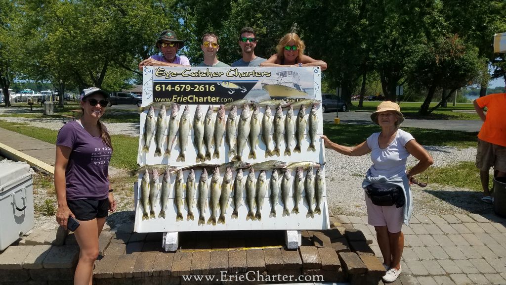 Lake Erie Walleye Charter - July 6 - Did it again!