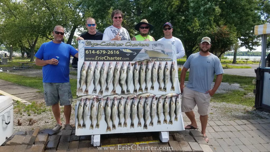 Lake Erie Walleye Charter - Another FULL board!