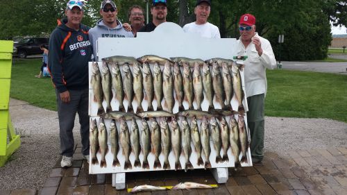 Trophy Lake Erie Walleye