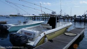 Lake Erie Fishing Charter